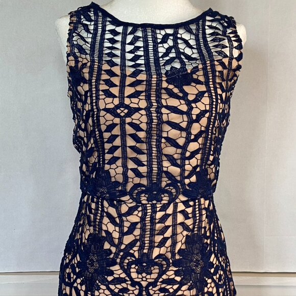 Giani Bini Lace Midi dress Sz 2 - Picture 3 of 10